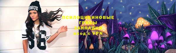 метамфетамин Белокуриха