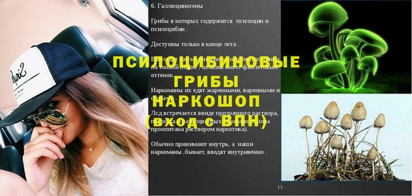 метамфетамин Белокуриха