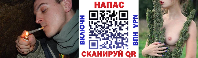 Бошки марихуана план  Верхний Тагил 